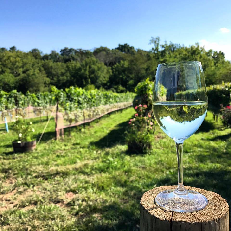 Rocklands Farm | restaurant | 15425 Montevideo Rd, Poolesville, MD 20837, USA | 3018258075 OR +1 301-825-8075