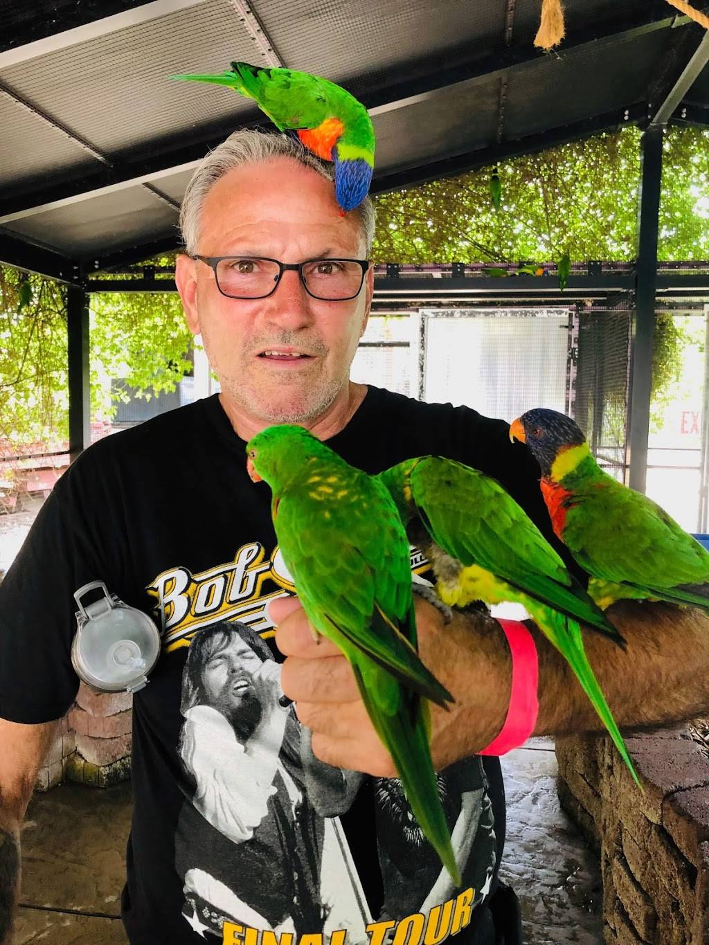 Cafe At Turtle Bay | restaurant | 844 Arboretum Dr, Redding, CA 96003, USA | 5302423114 OR +1 530-242-3114