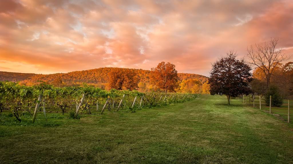 Grovedale Winery | restaurant | 71 Grovedale Ln, Wyalusing, PA 18853, USA | 5707461400 OR +1 570-746-1400