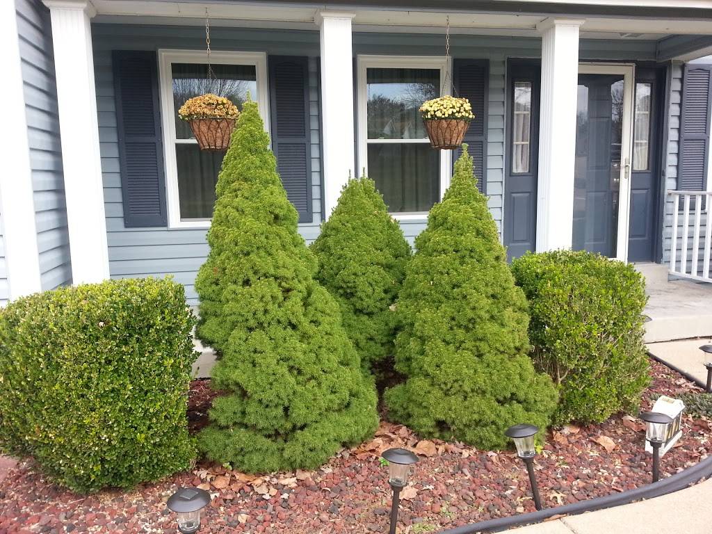 Subway | restaurant | 1146 & 1148 Shackelford Rd, Florissant, MO 63031, USA | 3148371782 OR +1 314-837-1782