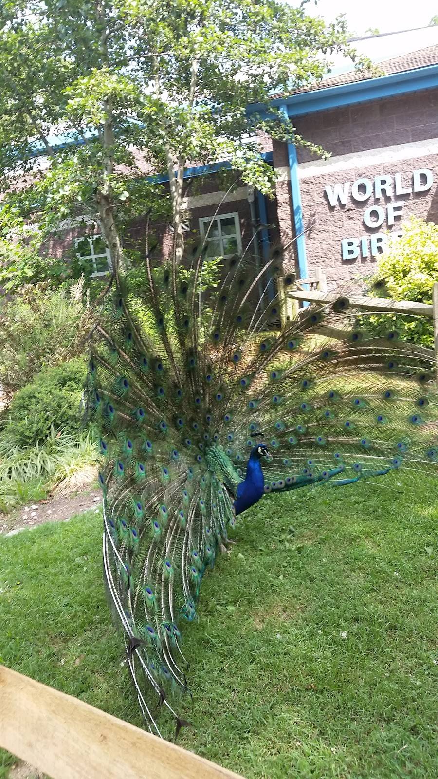 Stone Harbor Golf Club | restaurant | 905 U.S. 9, Cape May Court House, NJ 08210, USA | 6094659270 OR +1 609-465-9270