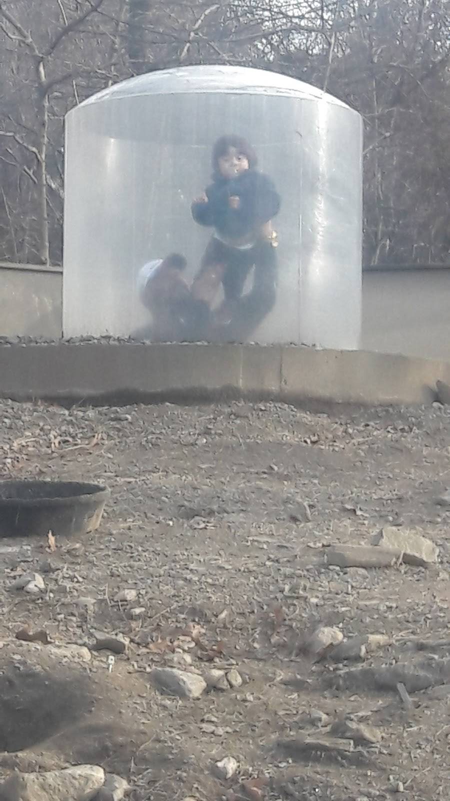 Rio Doce Luncheonette | restaurant | 140 North Ave, Bridgeport, CT 06606, USA | 2032962140 OR +1 203-296-2140