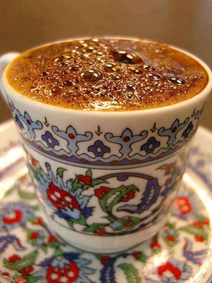 Oasis by the Sea ""GREEK RESTURANT"" | restaurant | 1211 N Surf Rd, Hollywood, FL 33019, USA | 9549224800 OR +1 954-922-4800