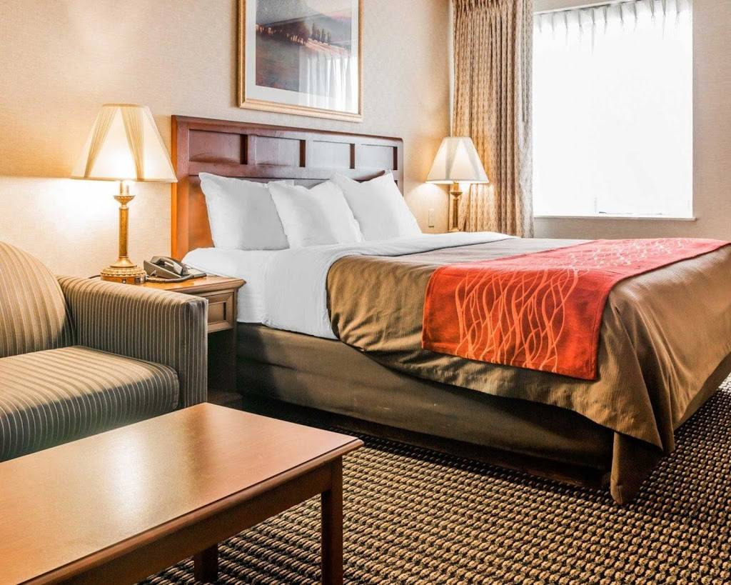 Comfort Inn | restaurant | 11401 Hall Rd, Utica, MI 48317, USA | 5867397111 OR +1 586-739-7111
