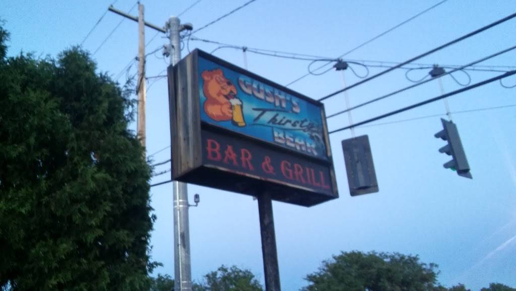 Thirsty Bear | restaurant | 351 E Washington Ave, Elmira, NY 14901, USA | 6077323450 OR +1 607-732-3450