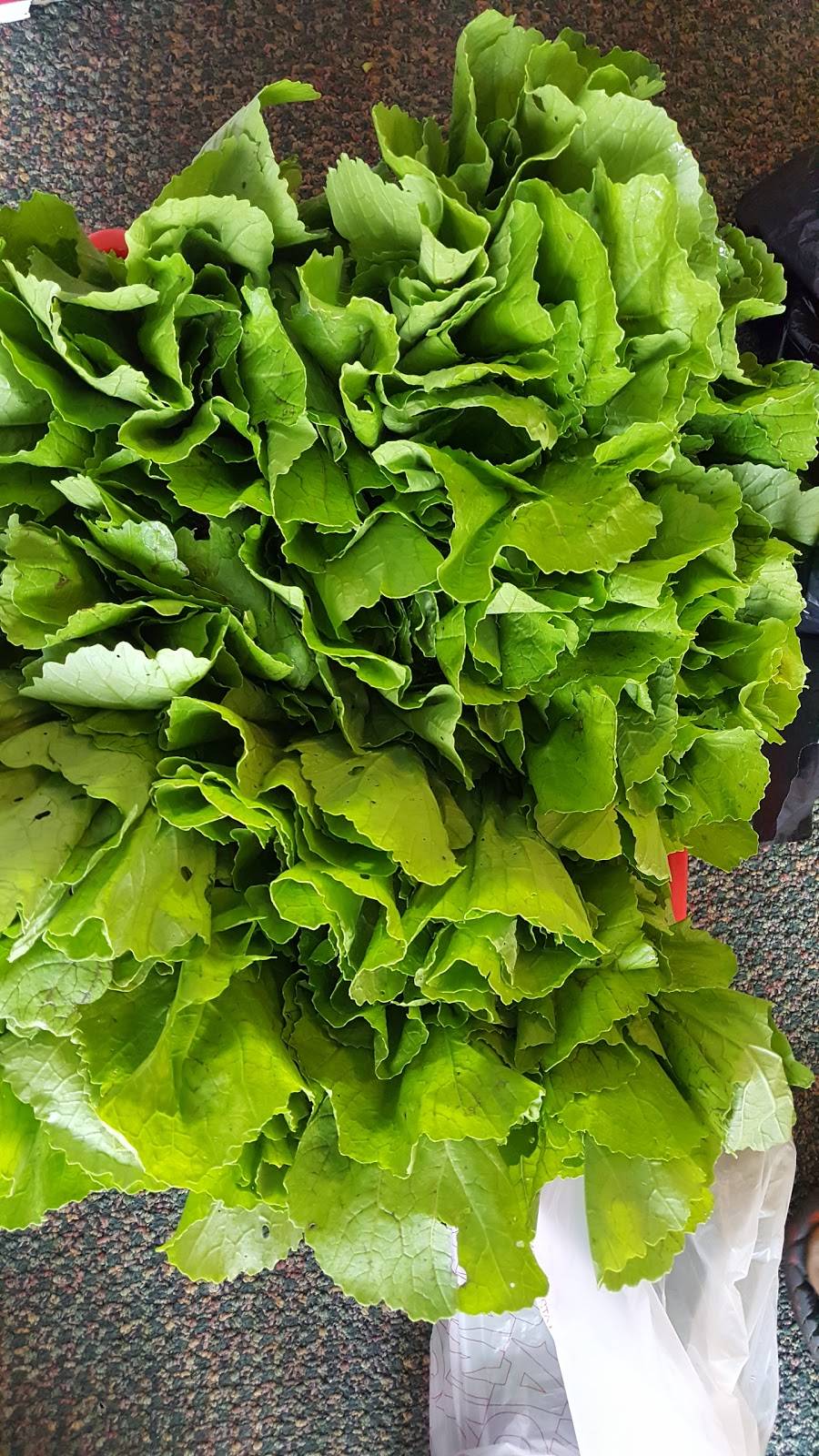 New African Asian Market | restaurant | 132 Loudon Rd, Concord, NH 03301, USA | 6038567216 OR +1 603-856-7216