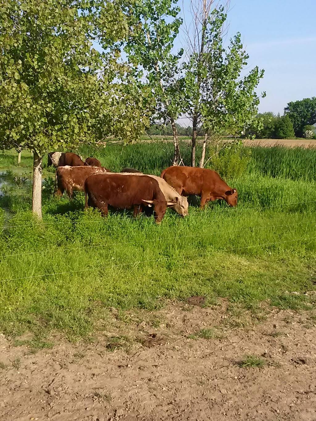 BP Farms, LLC | restaurant | 6300 N Rea Rd, Dundee, MI 48131, USA | 7344304261 OR +1 734-430-4261