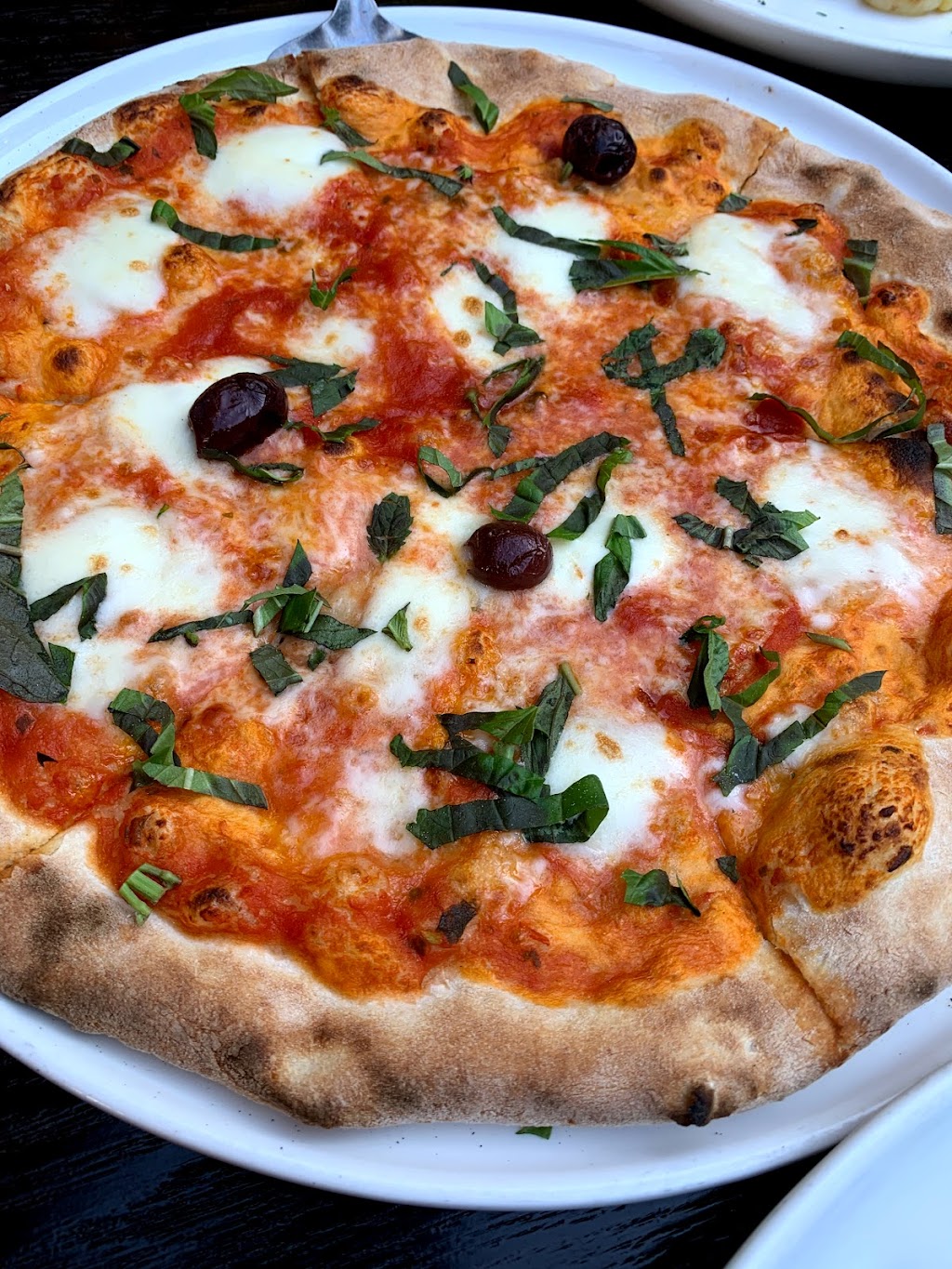 Serafina | night club | 19565 Biscayne Blvd, Aventura, FL 33180, USA | 7866774444 OR +1 786-677-4444