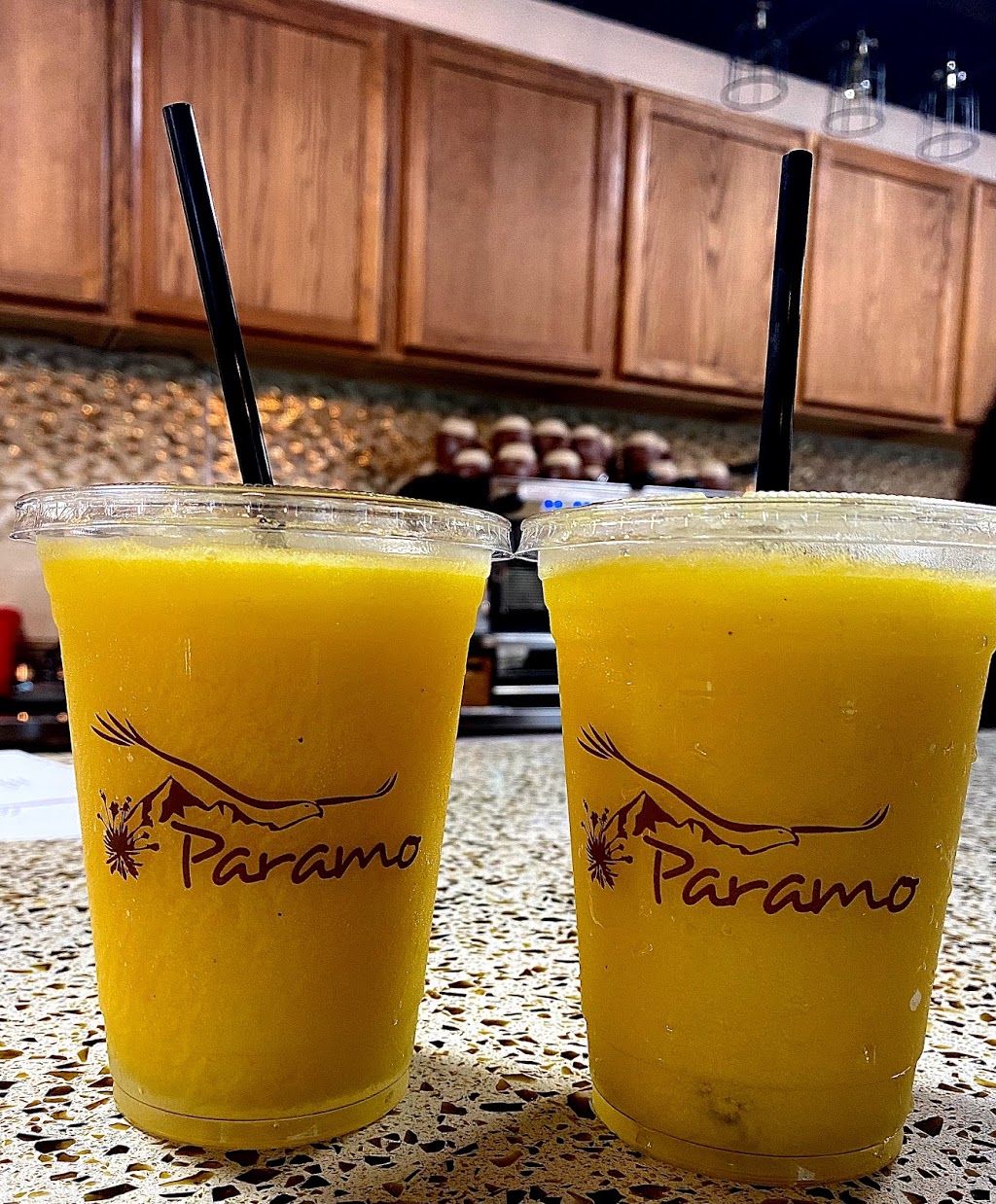 Paramo Café & Restaurant | restaurant | 3700 N Lockwood Ridge Rd, Sarasota, FL 34234, USA | 9415448669 OR +1 941-544-8669