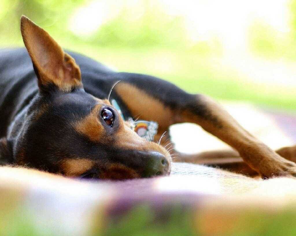 Deli Delights | restaurant | 540 Northdale Rd, Lawrenceville, GA 30046, USA | 7705138081 OR +1 770-513-8081