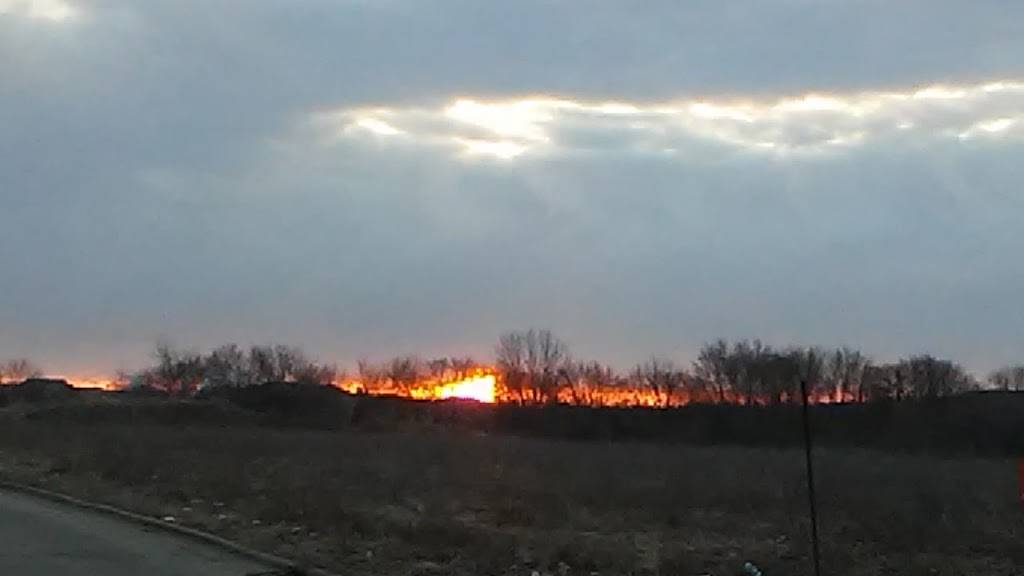 White Castle | restaurant | 1265 Normantown Rd, Romeoville, IL 60446, USA | 8152934101 OR +1 815-293-4101