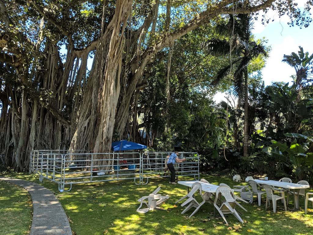 Govindas Restaurant | restaurant | 51 Coelho Way, Honolulu, HI 96817, USA | 8085954913 OR +1 808-595-4913