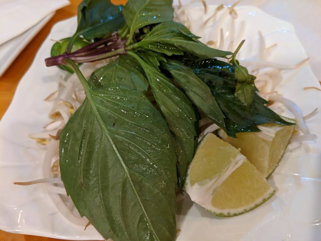 Pholuscious Vietnamese Noodles and Grill | restaurant | 10048 Darnestown Rd, Rockville, MD 20850, USA | 3017622226 OR +1 301-762-2226