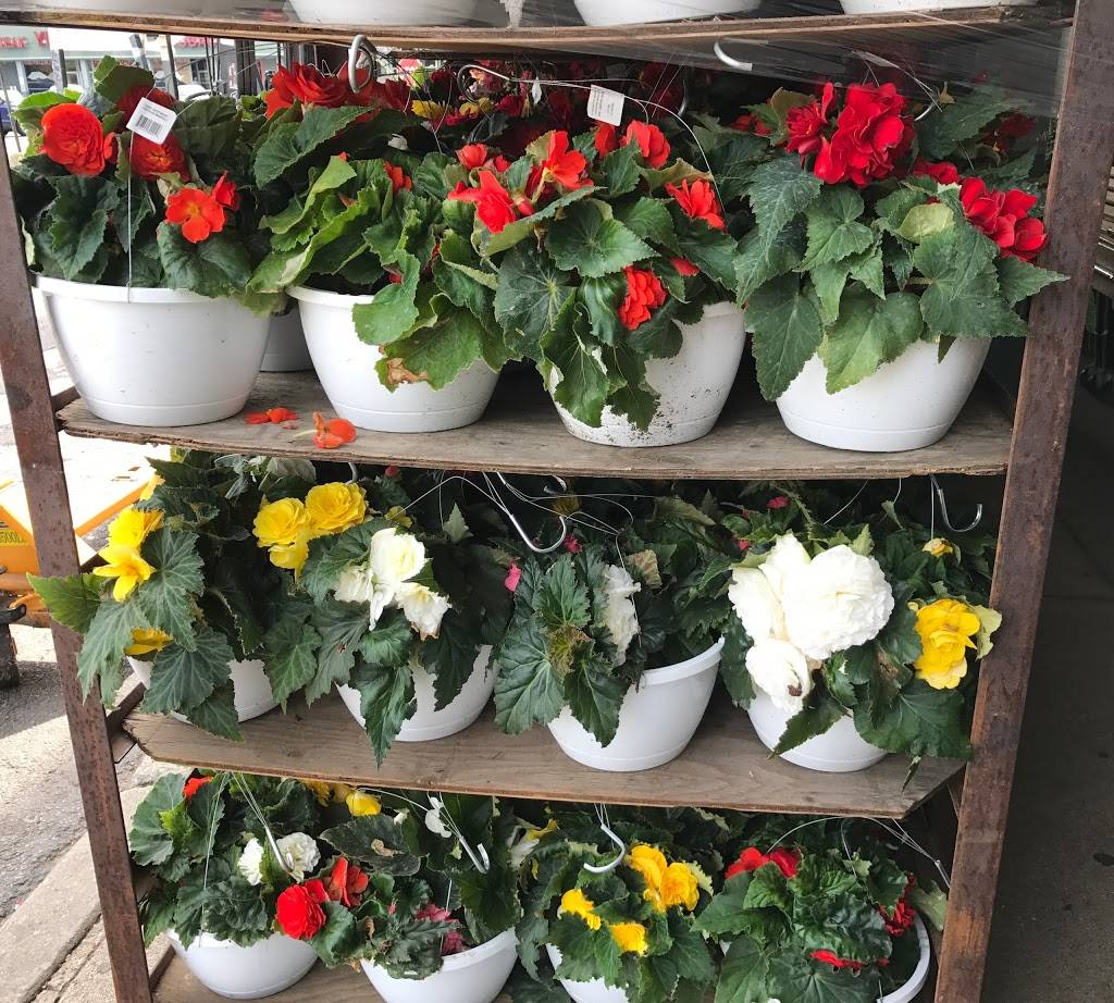 Franks Fresh Market | meal takeaway | 470 Georgetown Square, Wood Dale, IL 60191, USA | 6305210560 OR +1 630-521-0560