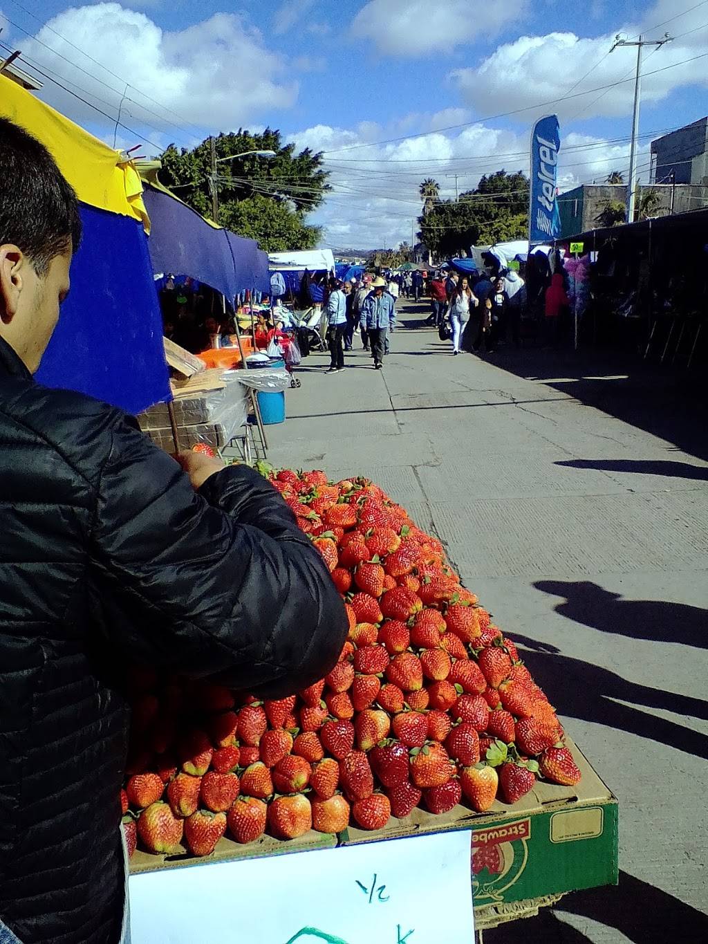 Van Tortas | restaurant | Valente Cordero 761, Lucio Blanco, 22706 Rosarito, B.C., Mexico | 016645563562 OR +52 664 556 3562