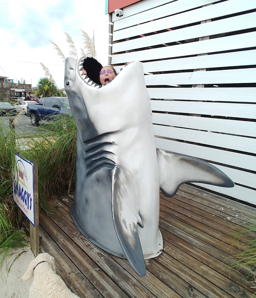 Shaggys Pensacola Beach | meal delivery | 701 Pensacola Beach Blvd, Pensacola Beach, FL 32561, USA | 8509344852 OR +1 850-934-4852