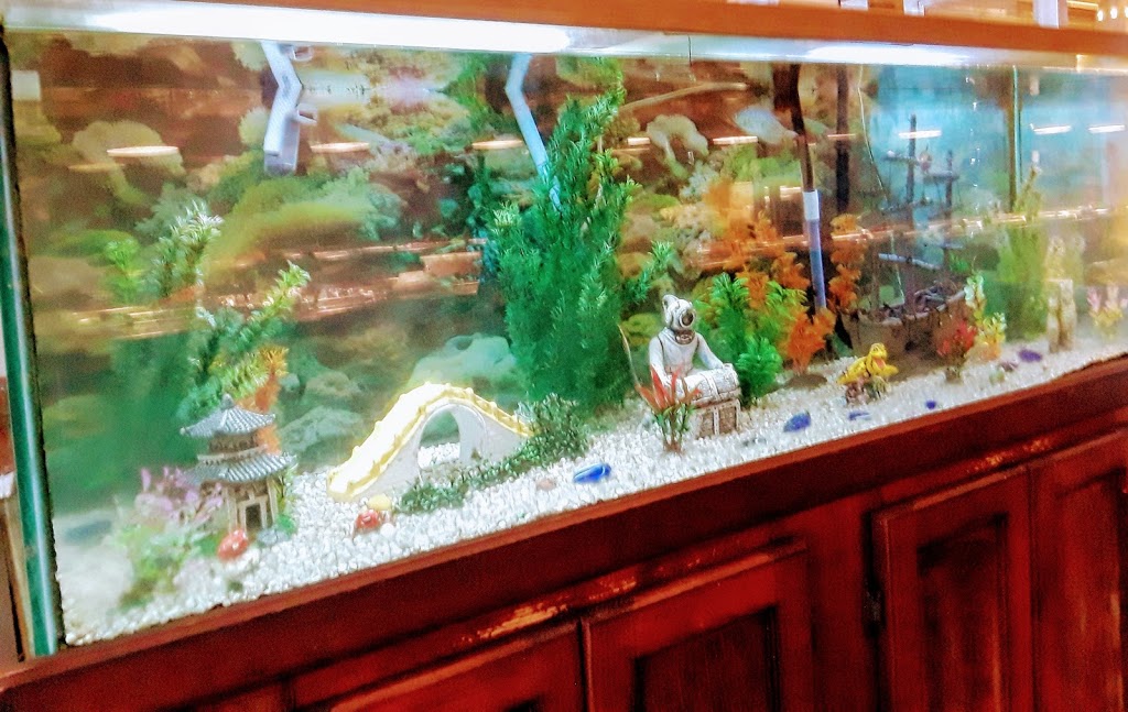 China Doll Seafood Restaurant | restaurant | 3966 Airport Blvd STE C, Mobile, AL 36608, USA | 2513435530 OR +1 251-343-5530