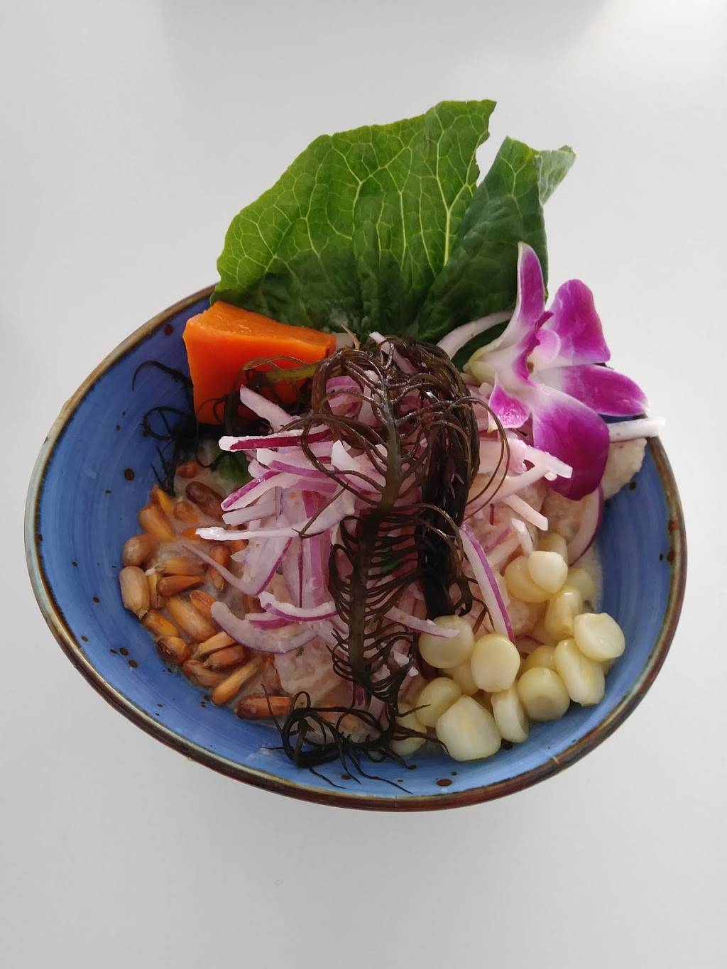 "Don Rodone" ceviche & more | restaurant | 3383 Sheridan St, Hollywood, FL 33021, USA | 9542100215 OR +1 954-210-0215