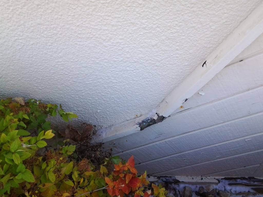 Subway | restaurant | 1715 Bradford Ln, Normal, IL 61761, USA | 3094541024 OR +1 309-454-1024