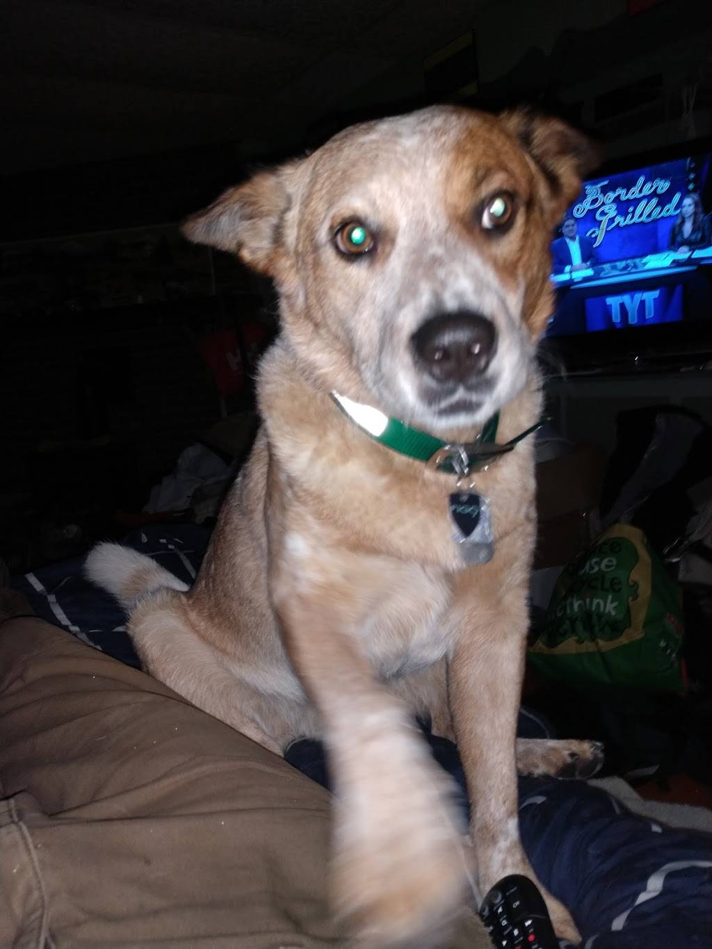 Pats Pizza Brunswick | restaurant | 112 Pleasant St, Brunswick, ME 04011, USA | 2078448163 OR +1 207-844-8163