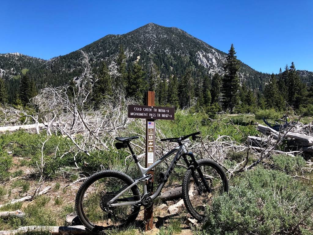 Over The Edge: Coffee Bikes Beer | cafe | 3665 Tamarack Ave, South Lake Tahoe, CA 96150, USA | 5306003633 OR +1 530-600-3633