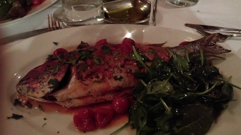 Trattoria Pulcinella | restaurant | 147 Huron Ave, Cambridge, MA 02138, USA | 6174916336 OR +1 617-491-6336