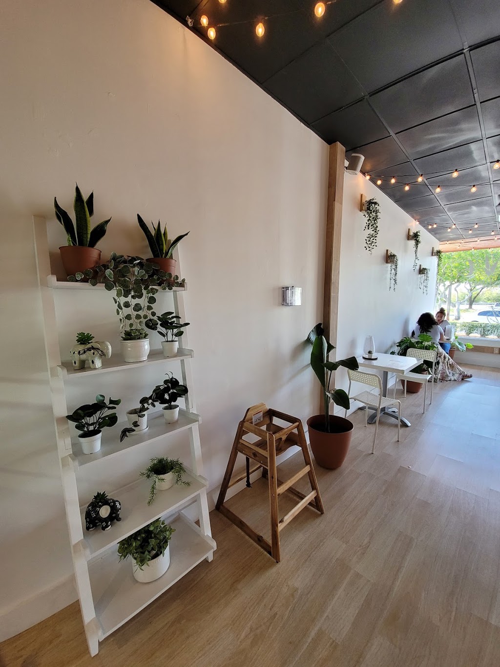 Agave Vegan Bakery | restaurant | 8620 Griffin Rd, Cooper City, FL 33328, USA | 9549095380 OR +1 954-909-5380