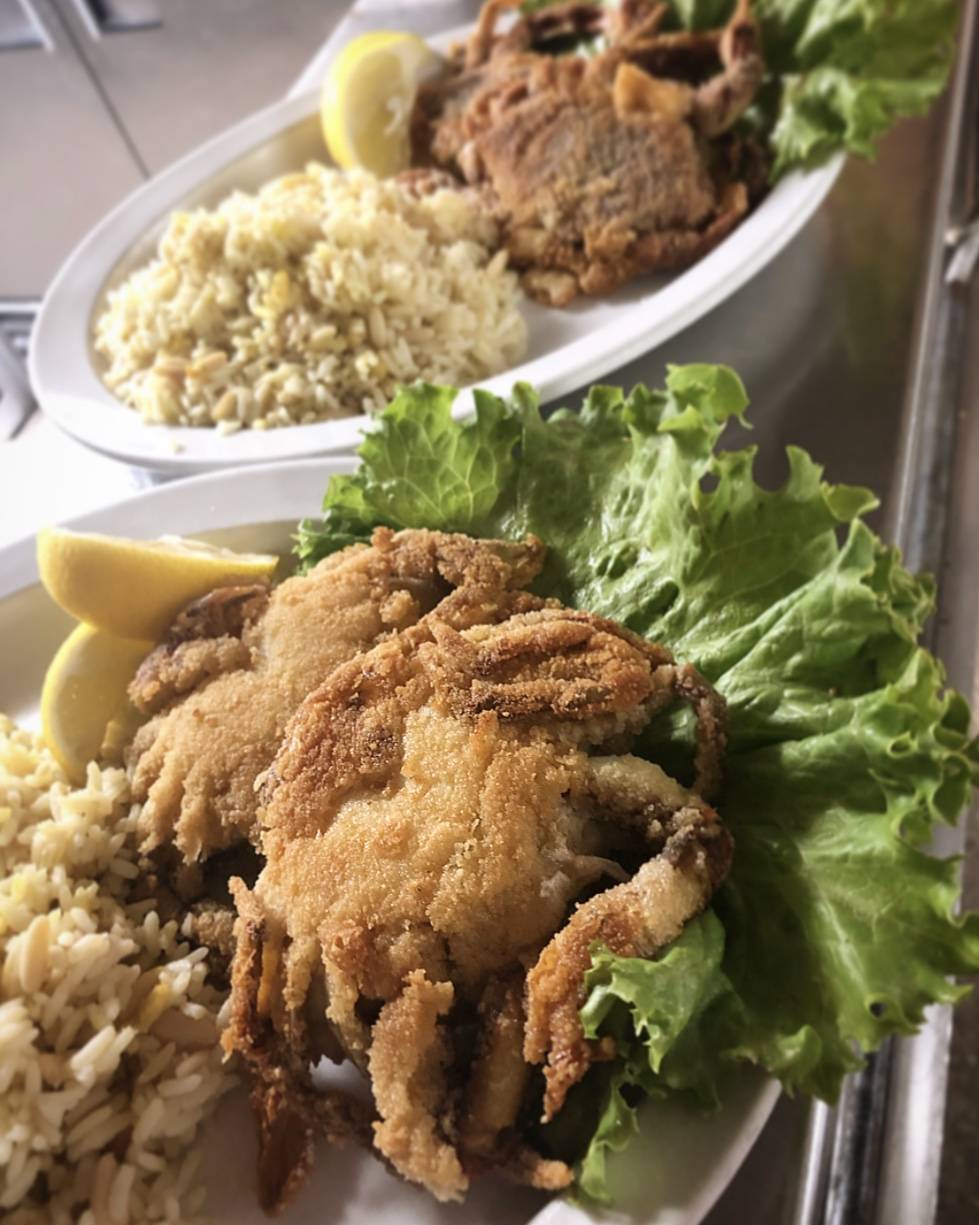 Captn Cons Fish House | restaurant | 8421 Main St, Bokeelia, FL 33922, USA | 2392834300 OR +1 239-283-4300