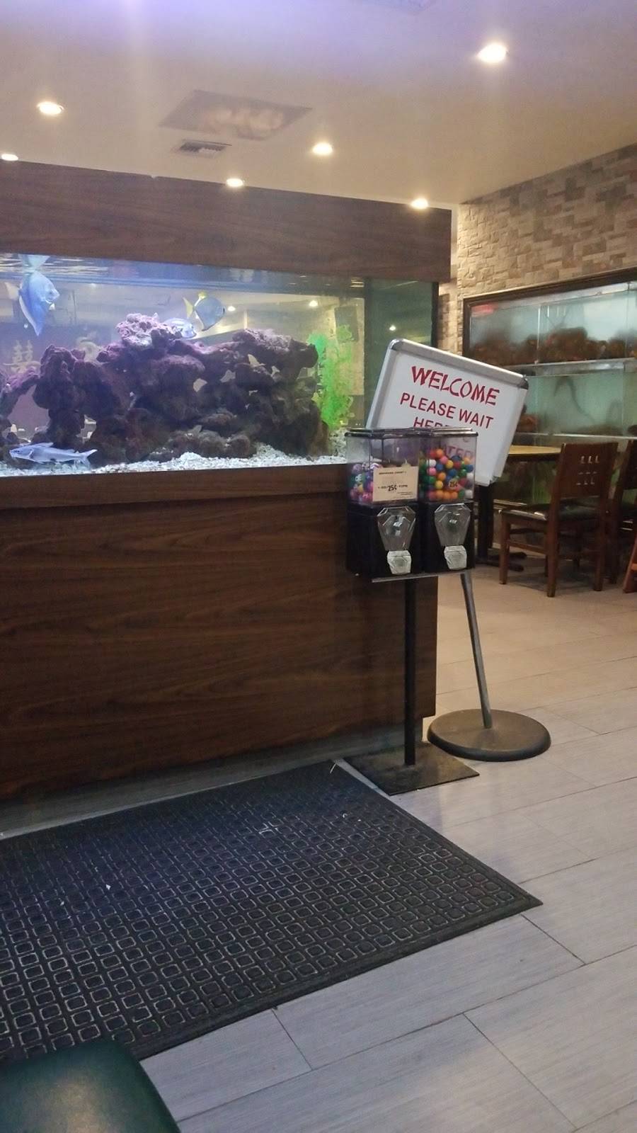 Dragon City | meal takeaway | 6706 Stirling Rd, Hollywood, FL 33024, USA | 9548948393 OR +1 954-894-8393