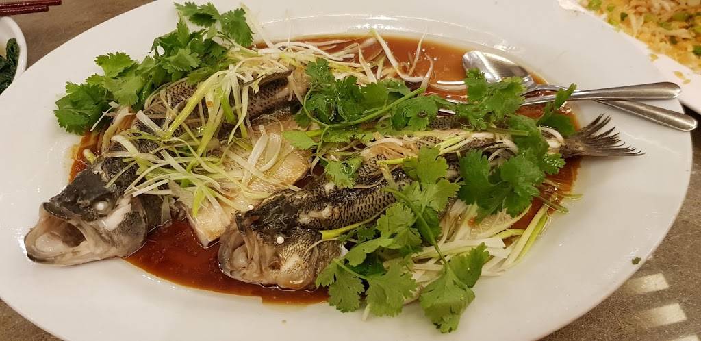 Fishman Village 漁家燈火 | restaurant | 4500 Steeles Ave E, Markham, ON L3R 0L2, Canada | 9054749777 OR +1 905-474-9777