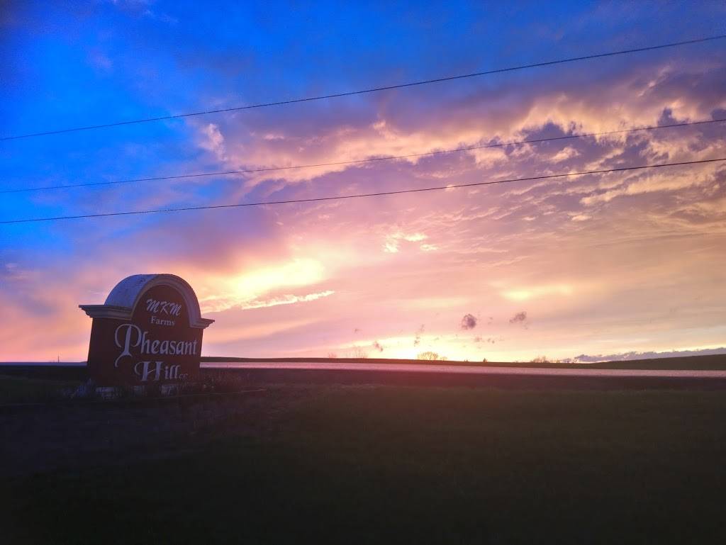 Pheasant Hill Country Club | restaurant | 2771 Waits Rd #6333, Owego, NY 13827, USA | 6076870722 OR +1 607-687-0722