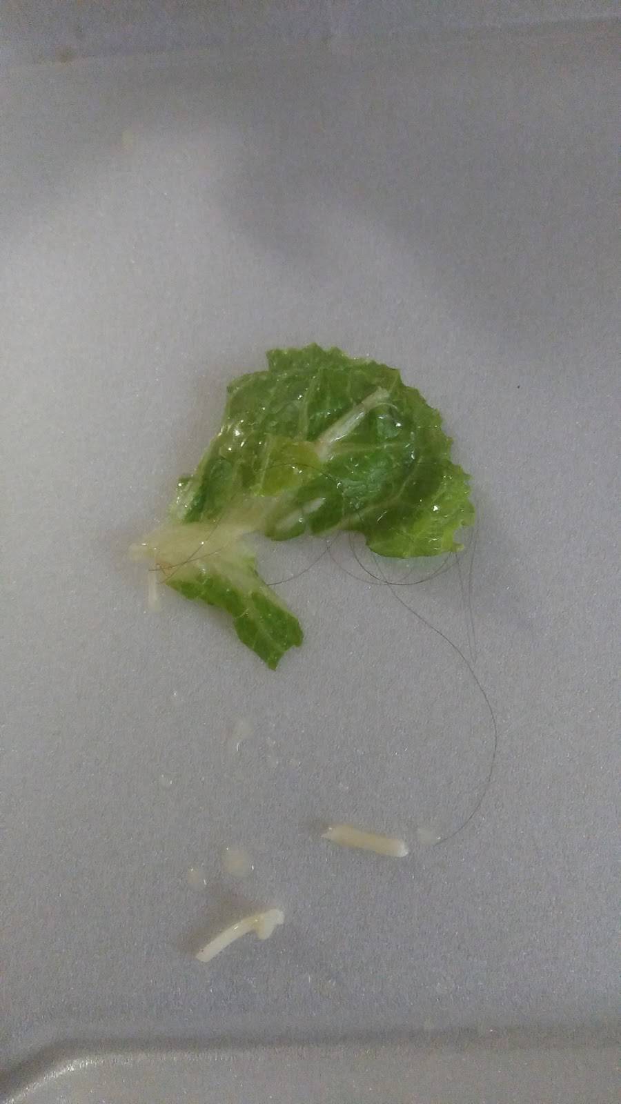 Cheds Bar and Grill | restaurant | 4676 Princess Anne Rd unit 390, Virginia Beach, VA 23462, USA | 7574958311 OR +1 757-495-8311