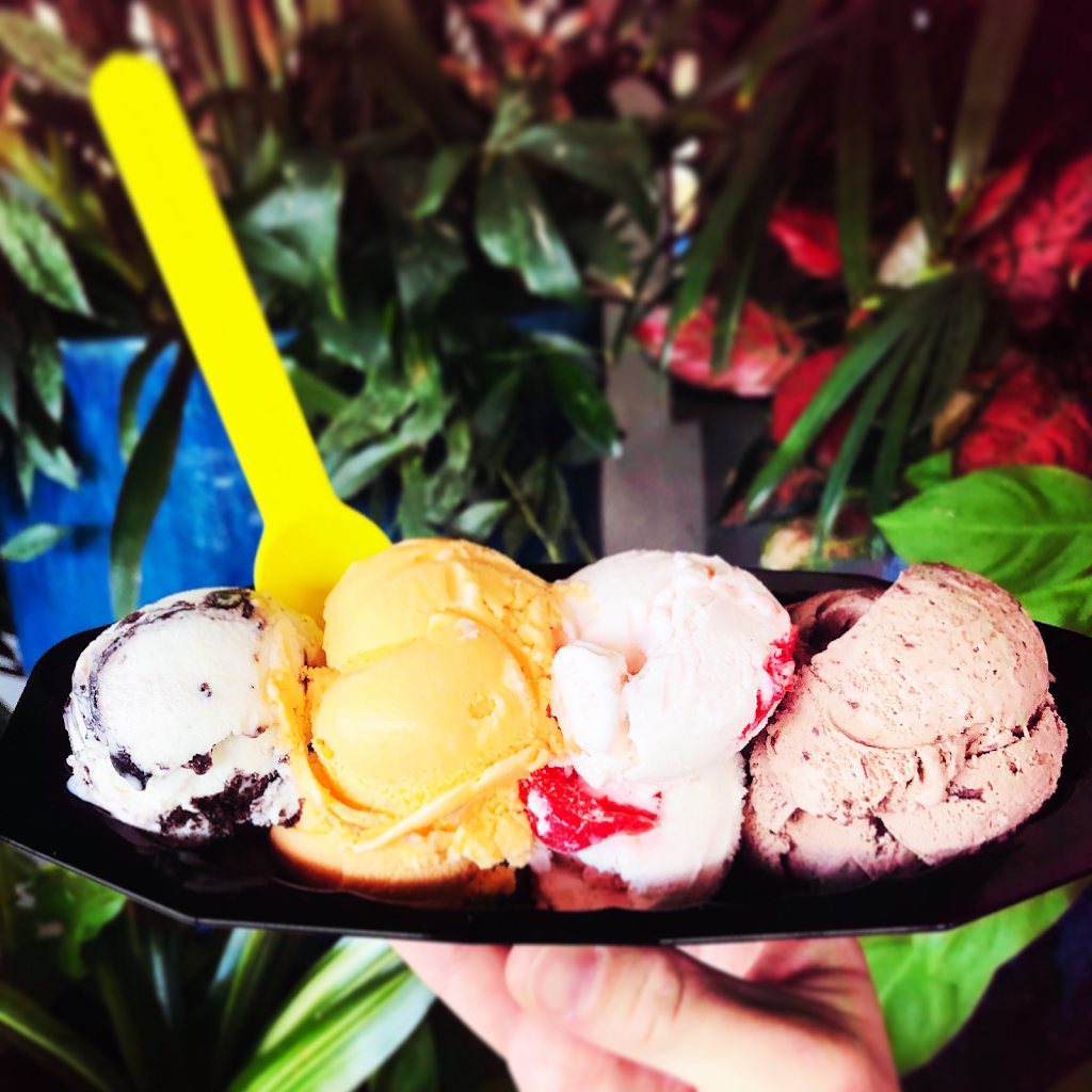 Scoops Ice Cream & Acai Bowls | restaurant | 15215 Collier Blvd #318, Naples, FL 34119, USA | 2393048122 OR +1 239-304-8122