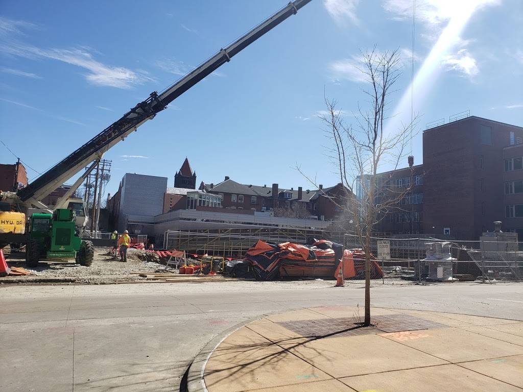 Evo Cafe | restaurant | 711 S 6th St, Champaign, IL 61820, USA | 2173287688 OR +1 217-328-7688