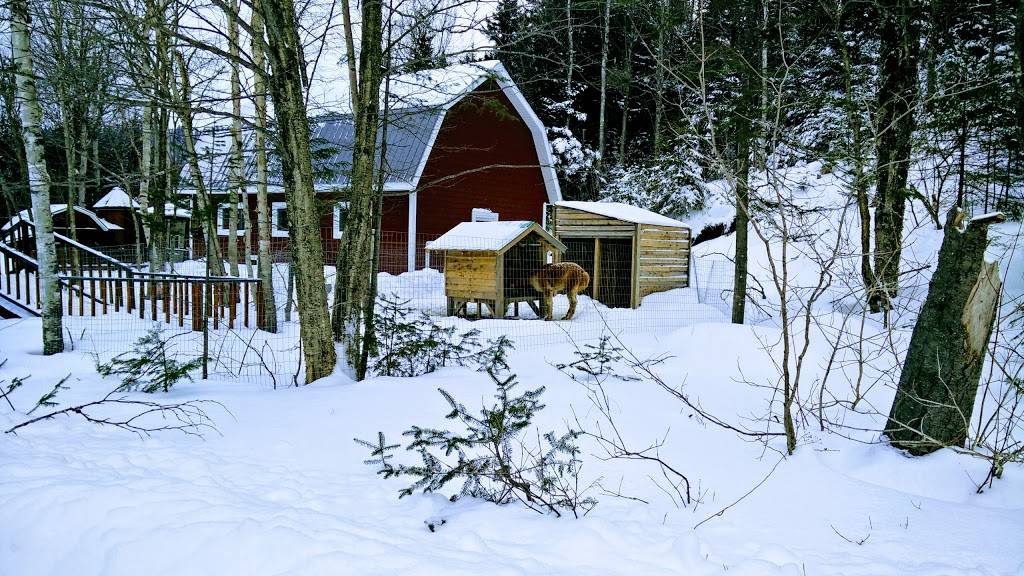 Pourvoirie Domaine Bazinet | restaurant | 3000 Chemin Bazinet, Sainte-Émélie-de-lÉnergie, QC J0K 2K0, Canada | 4508864444 OR +1 450-886-4444