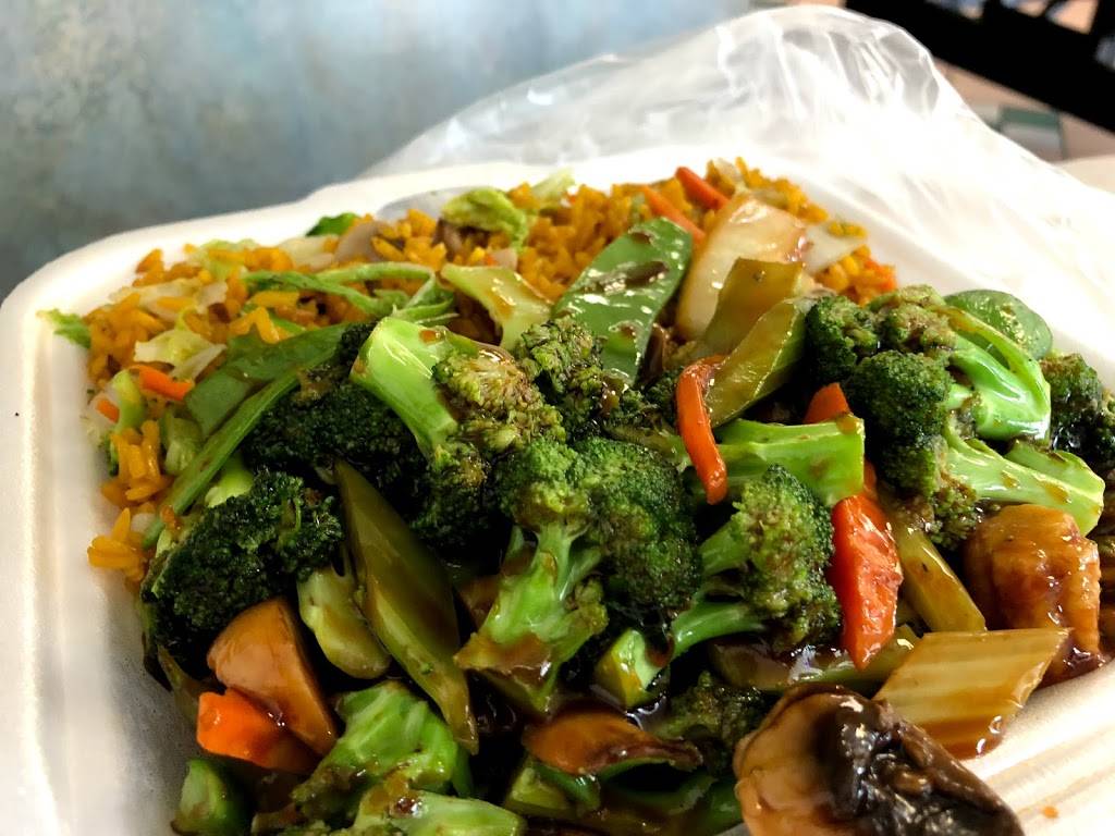 Jade Garden | restaurant | 2626 W Hillsborough Ave, Tampa, FL 33614, USA | 8138019331 OR +1 813-801-9331