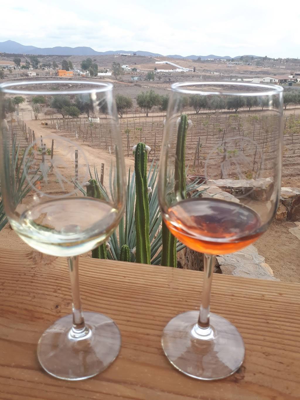 Koipai cocina | restaurant | Carretera El Tigre Km.13.5 Rancho San Marcos Poblado, El Porvenir, B.C., Mexico | 016461758622 OR +52 646 175 8622