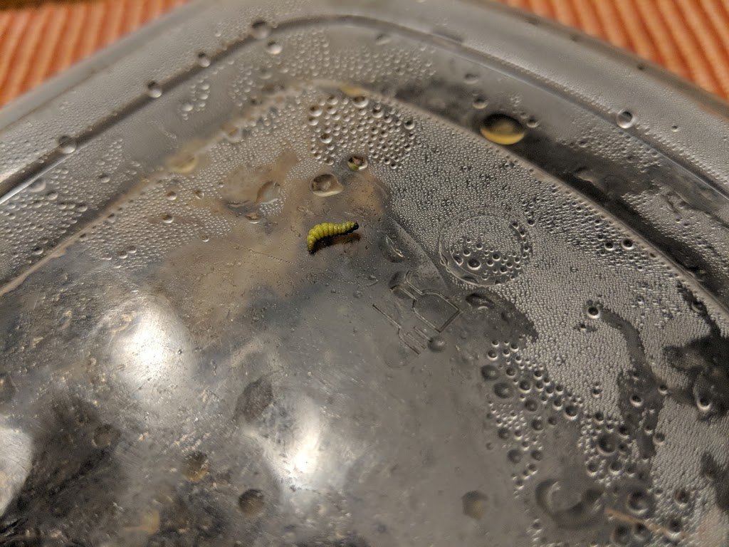 China Chef Restaurant | restaurant | 333 Greeno Rd S, Fairhope, AL 36532, USA | 2519900999 OR +1 251-990-0999