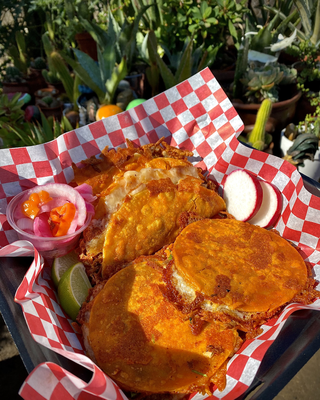 Birria Bros | restaurant | 1620 Brundage Ln, Bakersfield, CA 93304, USA | 6615644500 OR +1 661-564-4500