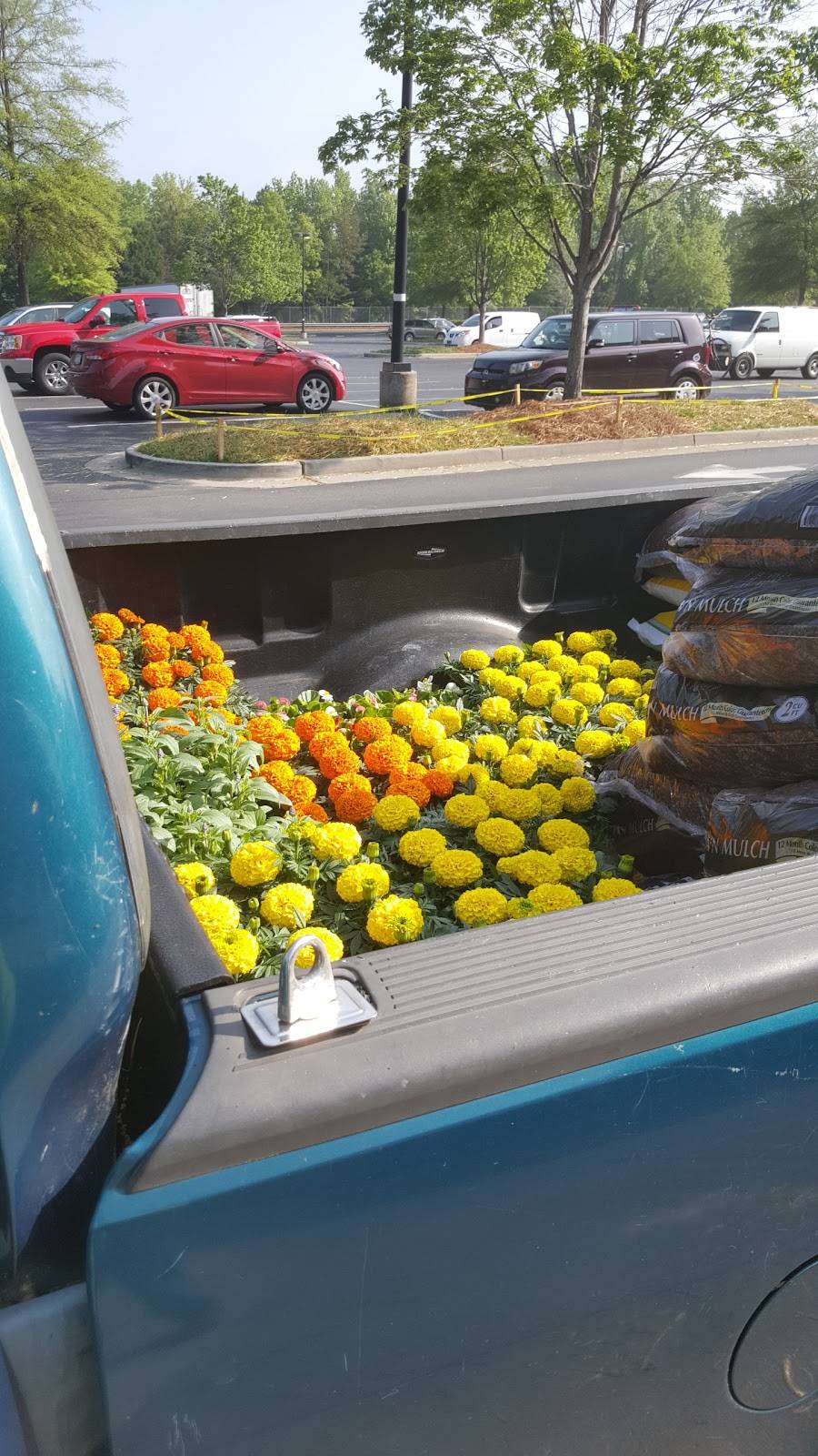 Providence Commons | shopping mall | 10612-10620 Providence Rd, Charlotte, NC 28277, USA | 9198314900 OR +1 919-831-4900