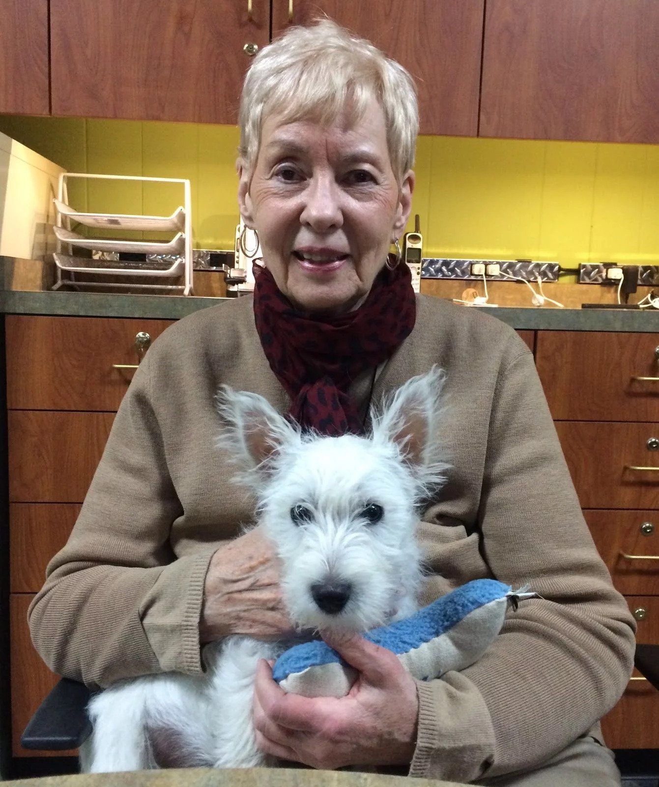 Ahlers Meals | meal delivery | 3620 Lightner Rd, Vandalia, OH 45377, United States | 9375068487 OR +1 937-506-8487