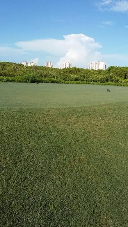 Dunkin | bakery | 27001 Old 41 Rd, Bonita Springs, FL 34135, USA | 2399920255 OR +1 239-992-0255