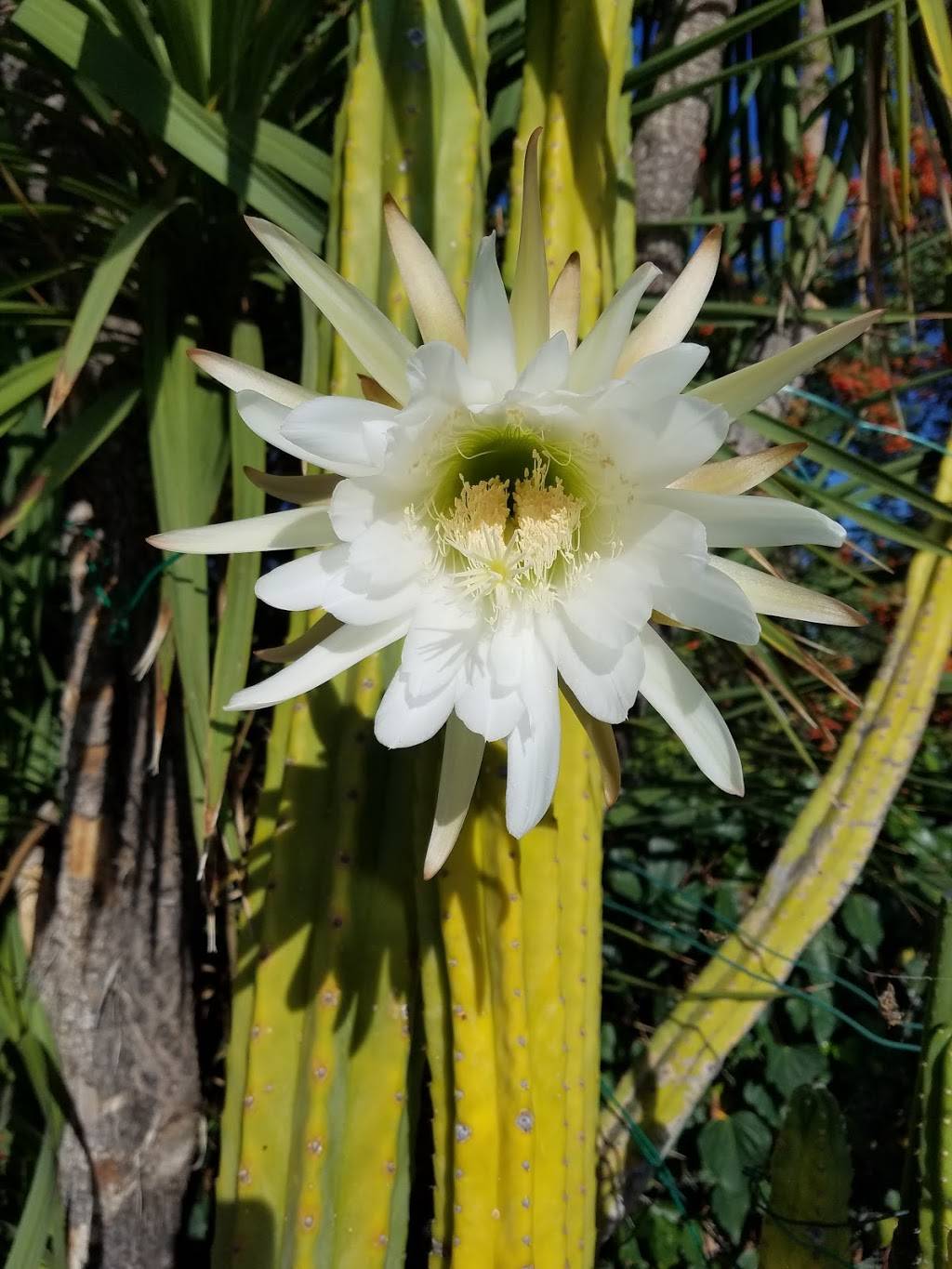 Boulevard Burgers | restaurant | 21718 Ventura Blvd, Woodland Hills, CA 91364, USA | 8187036005 OR +1 818-703-6005