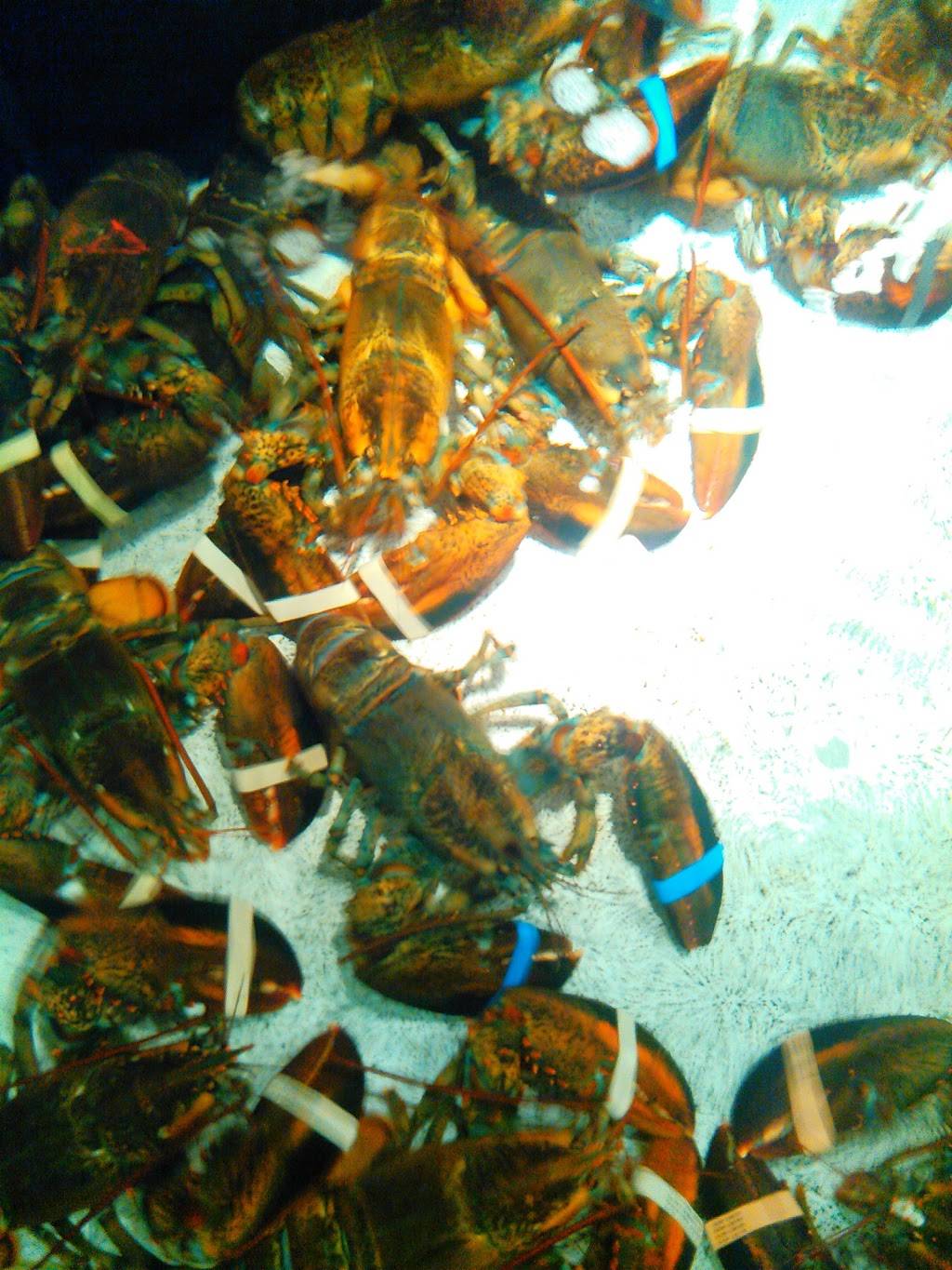 Red Lobster | restaurant | 1200 N Casaloma Dr, Appleton, WI 54913, USA | 9207490644 OR +1 920-749-0644