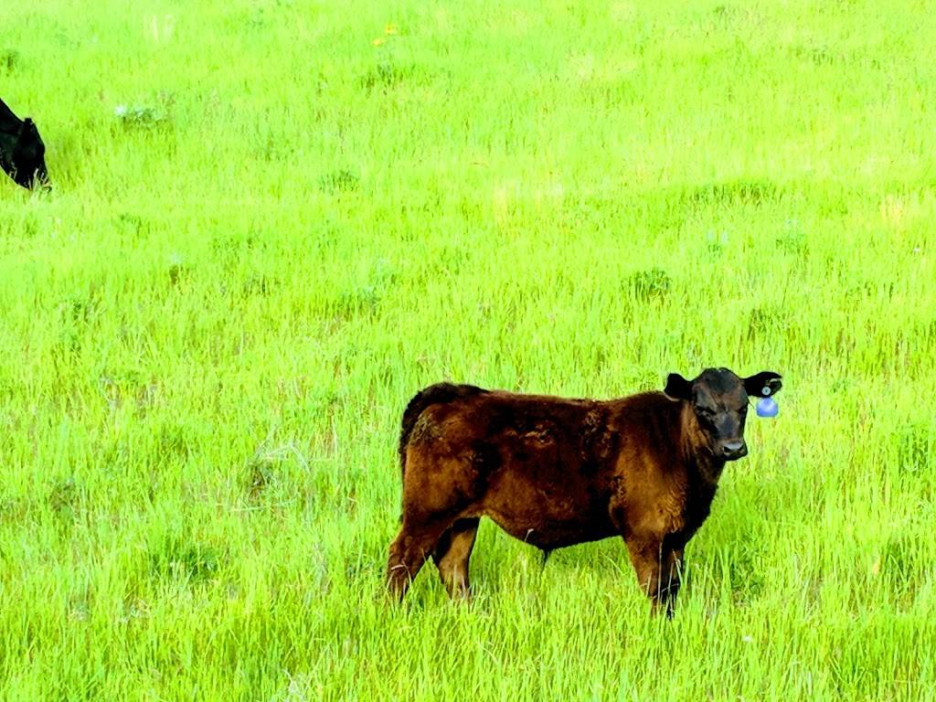 Johnnys Burger Stop | restaurant | 26901 Old 99 N, Stanwood, WA 98292, USA | 3606299427 OR +1 360-629-9427