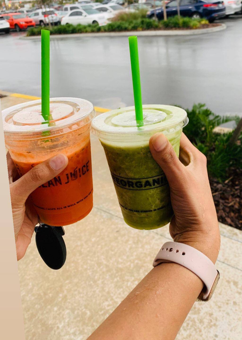 Clean Juice | restaurant | 8924 Strength Ave, New Port Richey, FL 34655, USA | 7272646602 OR +1 727-264-6602