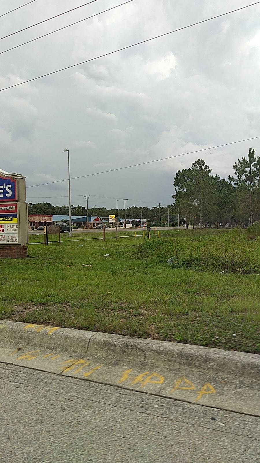 Arbys | restaurant | 10059 US-301, Riverview, FL 33578, USA | 8135156440 OR +1 813-515-6440