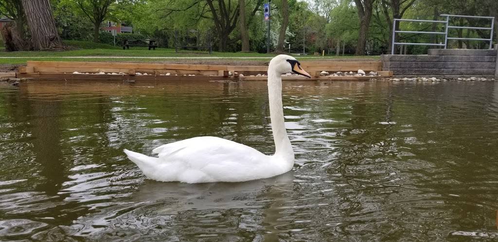 Boat House Patio | restaurant | 30 York St, Stratford, ON N5A 1A1, Canada | 5192717739 OR +1 519-271-7739