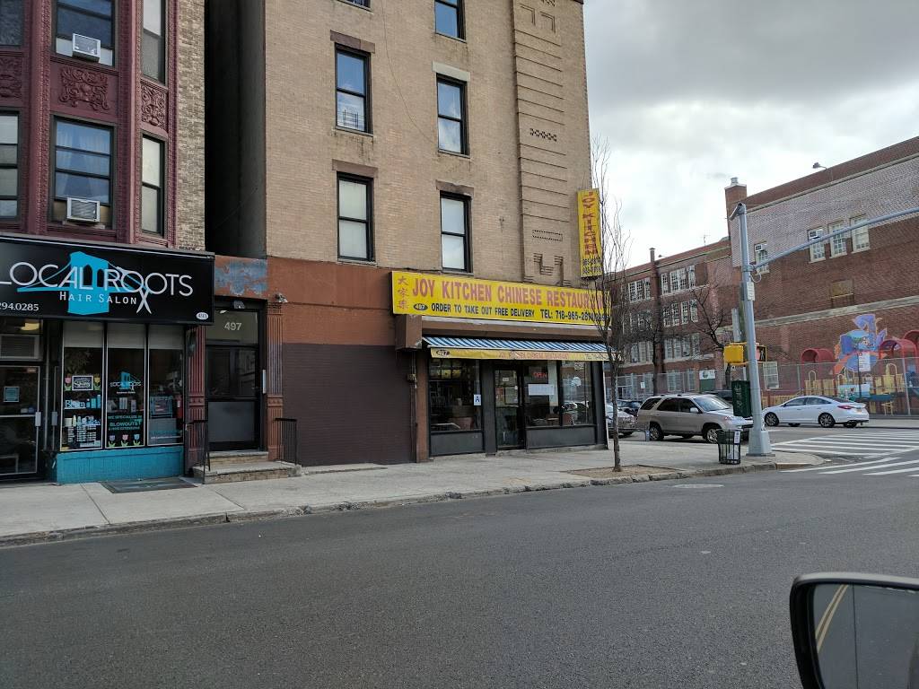 Joy Kitchen | restaurant | 497 7th Avenue A, Brooklyn, NY 11215, USA | 7189652874 OR +1 718-965-2874