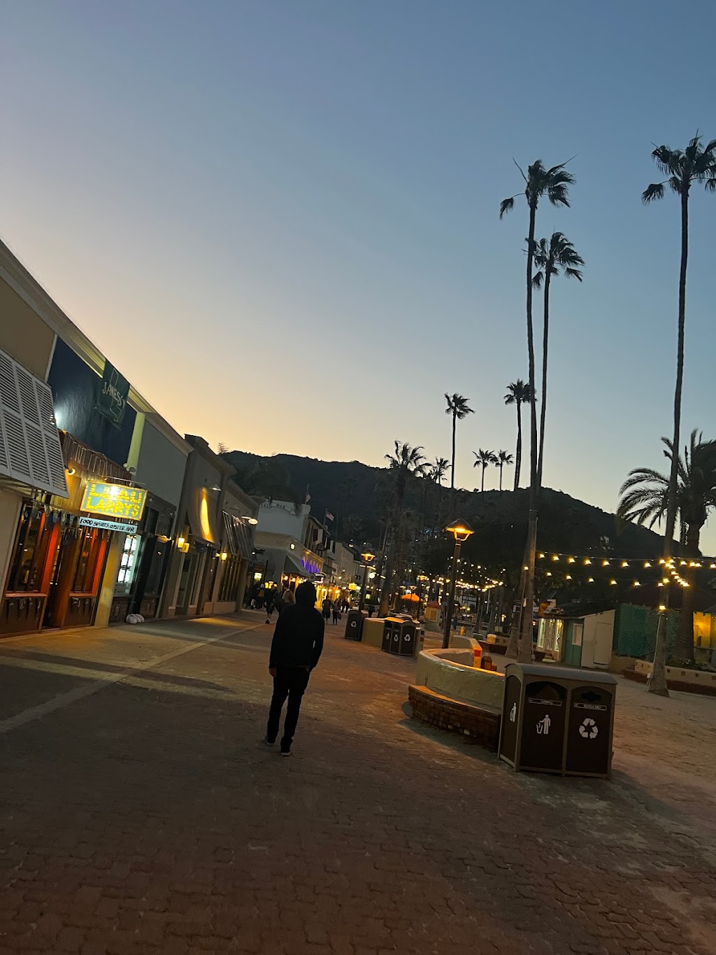 Luau Larrys | restaurant | 509 Crescent Ave, Avalon, CA 90704, USA | 3105101919 OR +1 310-510-1919